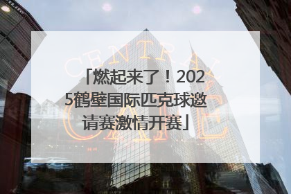燃起来了！2025鹤壁国际匹克球邀请赛激情开赛