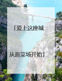 爱上这座城 从逛菜场开始