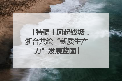 特稿丨风起钱塘，浙台共绘“新质生产力”发展蓝图