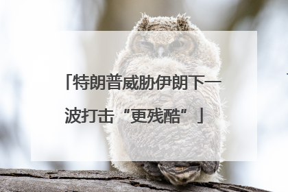 特朗普威胁伊朗下一波打击“更残酷”
