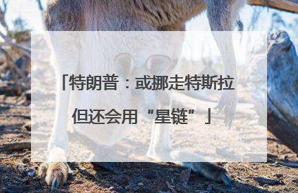 特朗普：或挪走特斯拉 但还会用“星链”