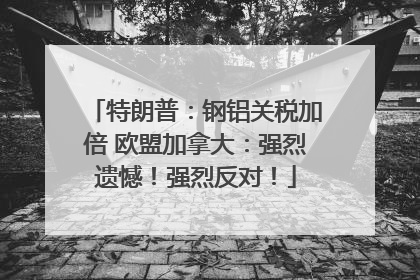 特朗普：钢铝关税加倍 欧盟加拿大：强烈遗憾！强烈反对！