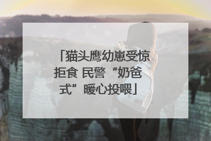 猫头鹰幼崽受惊拒食 民警“奶爸式”暖心投喂