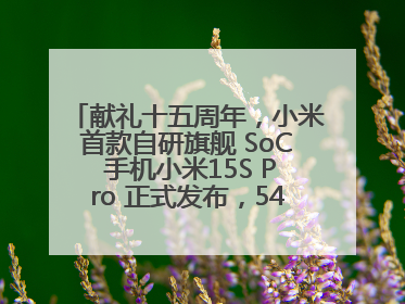 献礼十五周年，小米首款自研旗舰 SoC 手机小米15S Pro 正式发布，5499 元起售