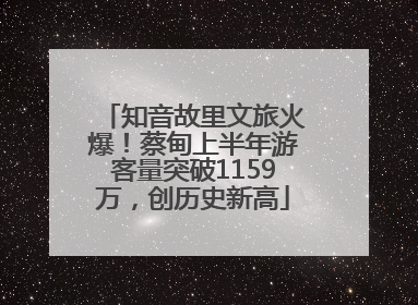 知音故里文旅火爆！蔡甸上半年游客量突破1159万，创历史新高