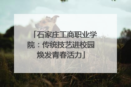 石家庄工商职业学院：传统技艺进校园焕发青春活力