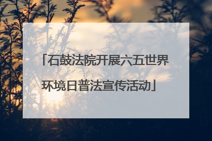 石鼓法院开展六五世界环境日普法宣传活动