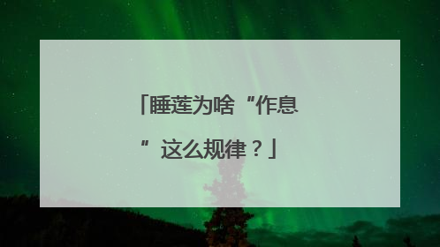 睡莲为啥“作息”这么规律？