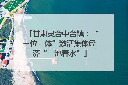 甘肃灵台中台镇：“三位一体”激活集体经济“一池春水”
