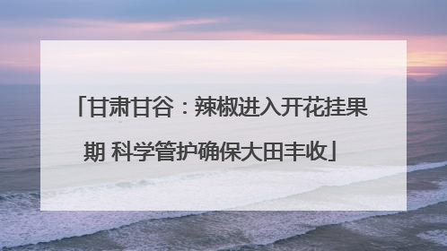 甘肃甘谷：辣椒进入开花挂果期 科学管护确保大田丰收
