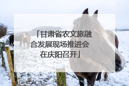 甘肃省农文旅融合发展现场推进会在庆阳召开