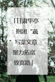 甘肃华亭：抱团“蔬”写菜文章 聚力拓宽致富路