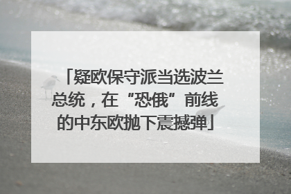 疑欧保守派当选波兰总统，在“恐俄”前线的中东欧抛下震撼弹
