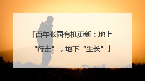 百年张园有机更新：地上“行走”，地下“生长”