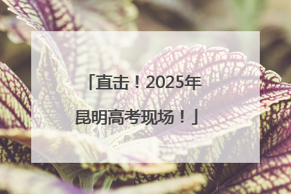 直击！2025年昆明高考现场！