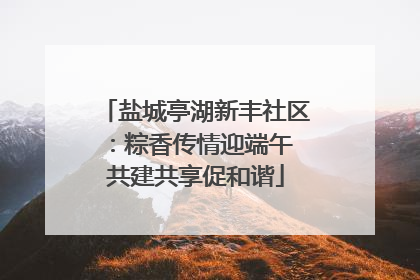 盐城亭湖新丰社区：粽香传情迎端午 共建共享促和谐