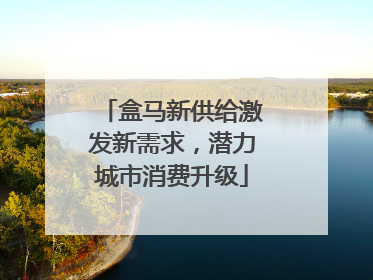 盒马新供给激发新需求，潜力城市消费升级