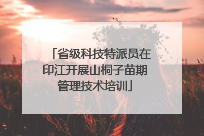 省级科技特派员在印江开展山桐子苗期管理技术培训