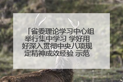 省委理论学习中心组举行集中学习 学好用好深入贯彻中央八项规定精神成效经验 示范带头持续推动全省学习教育走深走实