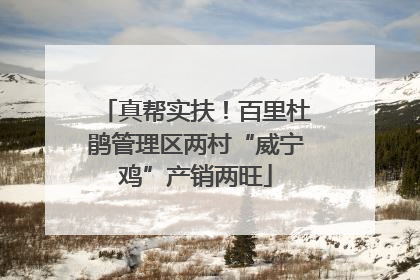 真帮实扶！百里杜鹃管理区两村“威宁鸡”产销两旺