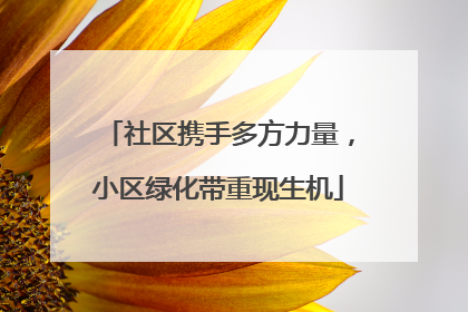 社区携手多方力量，小区绿化带重现生机