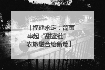福建永定：葡萄串起“甜蜜链” 农旅融合绘新篇