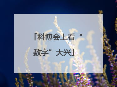 科博会上看“数字”大兴