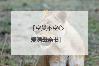 空巢不空心 爱满母亲节