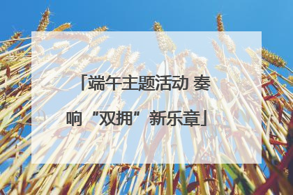 端午主题活动 奏响“双拥”新乐章