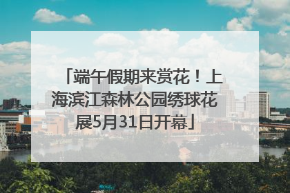 端午假期来赏花！上海滨江森林公园绣球花展5月31日开幕