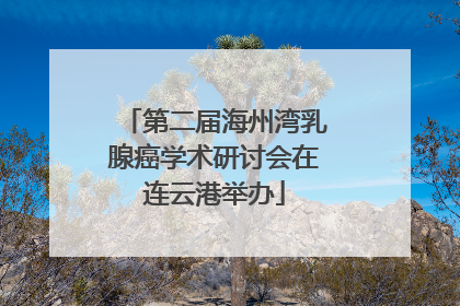 第二届海州湾乳腺癌学术研讨会在连云港举办