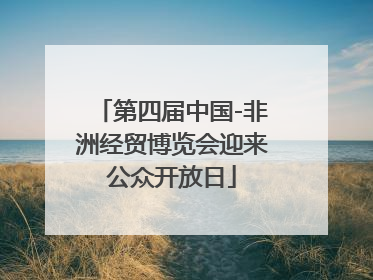 第四届中国-非洲经贸博览会迎来公众开放日