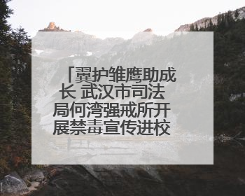 翼护雏鹰助成长 武汉市司法局何湾强戒所开展禁毒宣传进校园活动