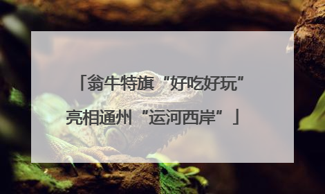 翁牛特旗“好吃好玩”亮相通州“运河西岸”