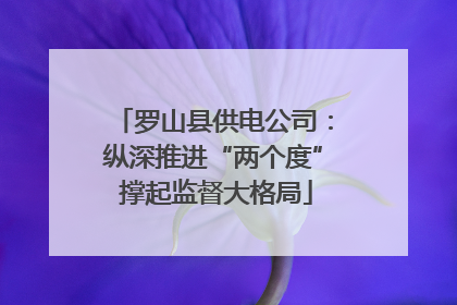 罗山县供电公司：纵深推进“两个度” 撑起监督大格局