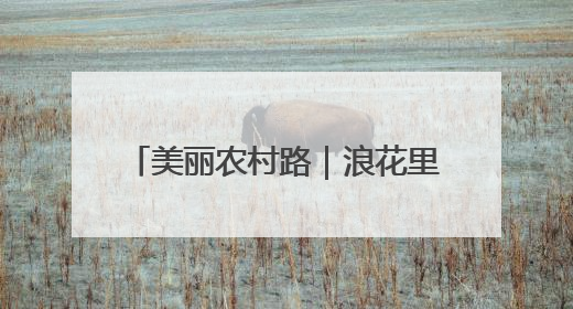 美丽农村路｜浪花里的美丽农村路，三高线串起山海经济学