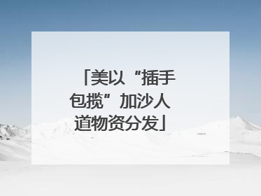 美以“插手包揽”加沙人道物资分发