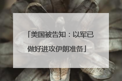 美国被告知：以军已做好进攻伊朗准备