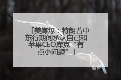 美媒爆：特朗普中东行期间承认自己和苹果CEO库克“有点小问题”