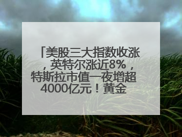美股三大指数收涨，英特尔涨近8%，特斯拉市值一夜增超4000亿元！黄金、原油下跌