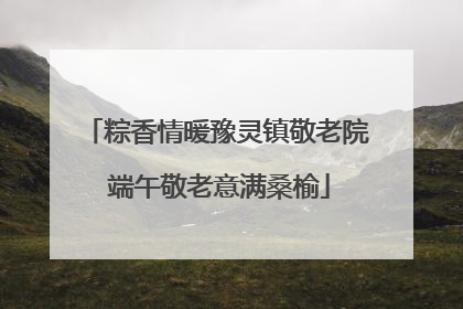 粽香情暖豫灵镇敬老院 端午敬老意满桑榆