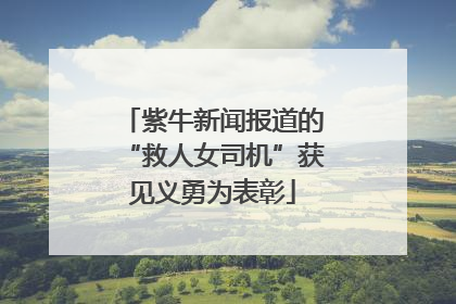 紫牛新闻报道的“救人女司机”获见义勇为表彰