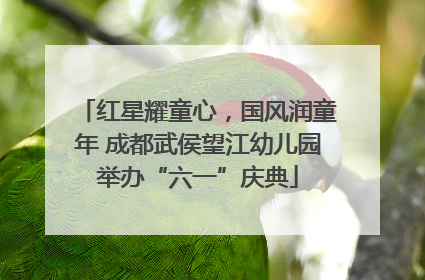 红星耀童心，国风润童年 成都武侯望江幼儿园举办“六一”庆典