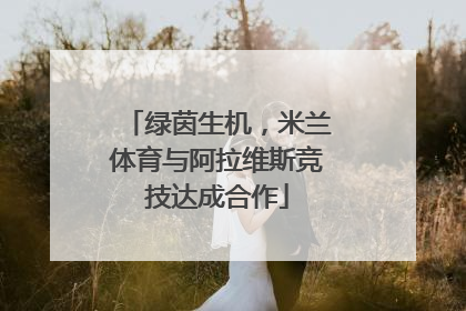 绿茵生机，米兰体育与阿拉维斯竞技达成合作