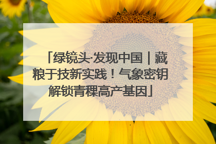 绿镜头·发现中国｜藏粮于技新实践！气象密钥解锁青稞高产基因