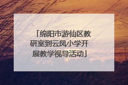 绵阳市游仙区教研室到云凤小学开展教学视导活动