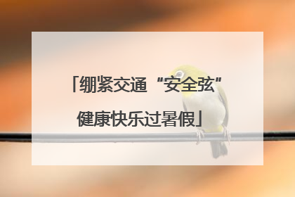绷紧交通“安全弦” 健康快乐过暑假