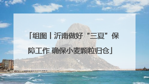 组图丨沂南做好“三夏”保障工作 确保小麦颗粒归仓