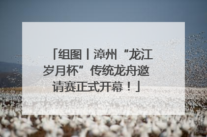 组图丨漳州“龙江岁月杯”传统龙舟邀请赛正式开幕！