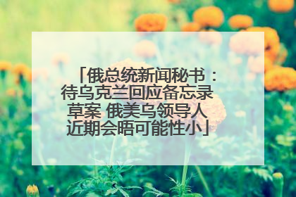俄总统新闻秘书：待乌克兰回应备忘录草案 俄美乌领导人近期会晤可能性小
